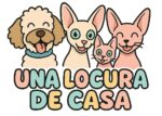 Una Locura de Casa