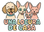 Una Locura de Casa