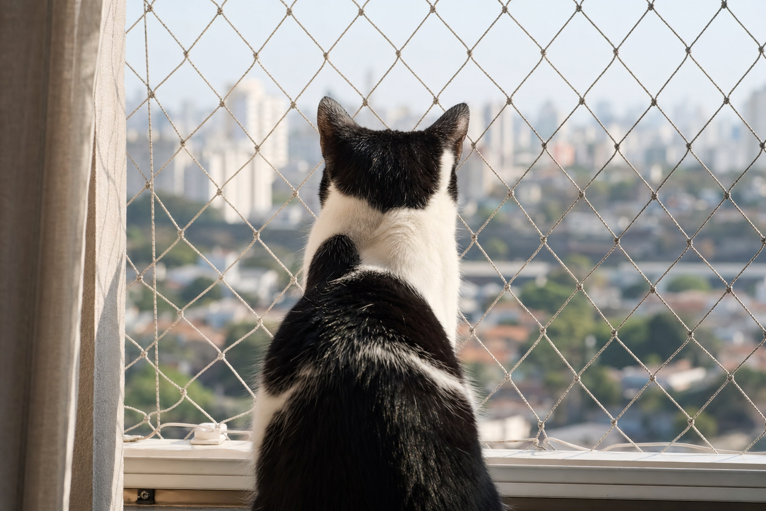 Gato blanco y negro mirando por una ventana protegida con red en un balcón seguro